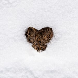 Aj srdce sa raz roztopí