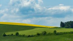 Žltý horizont