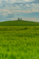na vrchole