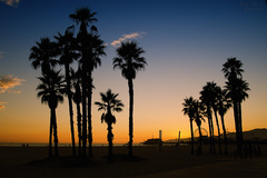 Santa Monica