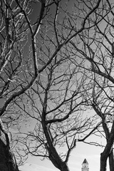 Cajka , Splet a Veza