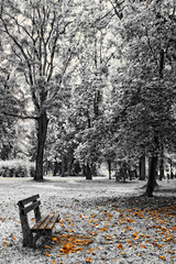 Jesenny Park