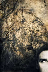 Suicide - Facing the Brain