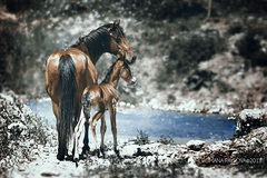 Na rodinnej prechádzke