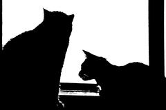 behind the window