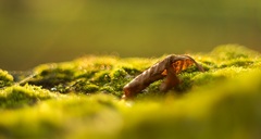 lúčenie sa so slnkom