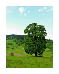 Oščadnické zákutia