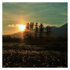 ...odolali vetrom...II