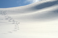 Backcountry