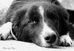 Colin BW