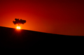 After the Sunset