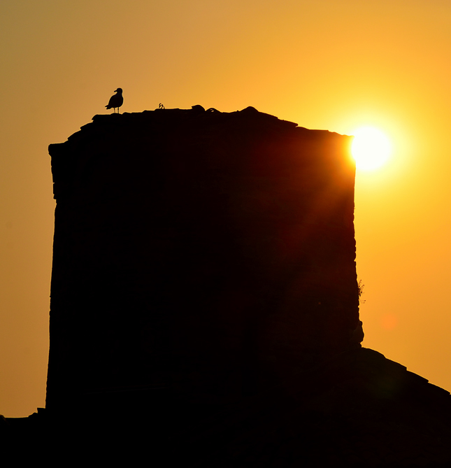 Čajka in the sunset