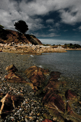 Roscoff
