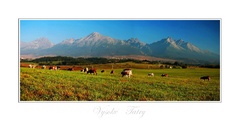 Vysoké Tatry