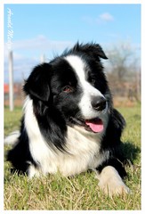 Benny
