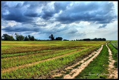 Poľná cesta HDR
