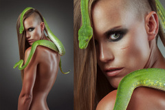 snake-care