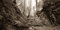 Velky Sokol