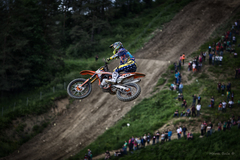 MX