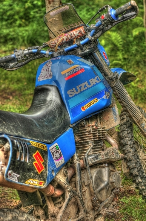 Suzuki HDR