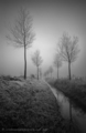 Before The Light