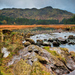 Harrop Tarn