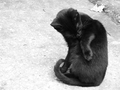 ´´´´