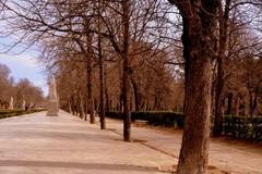 Parque del Retiro 2
