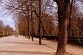 Parque del Retiro 2