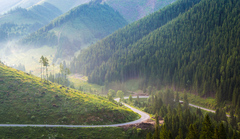 klukati sa cesta uzka