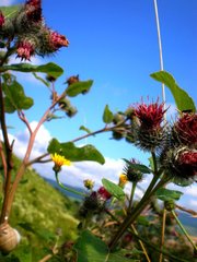Colour Nature