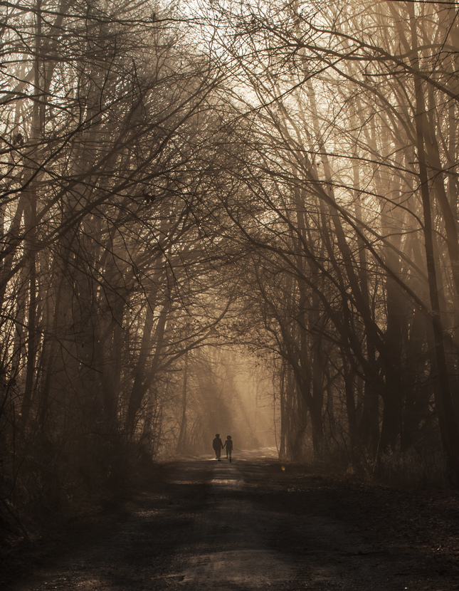 ranna prechadzka v hmle