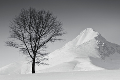Važecká pochúťka . .