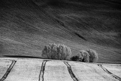 cesty bez cieľa . .