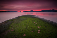 dozrelo víno, už je tu . .