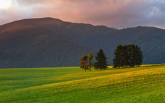 Pod Barancom stojac . .