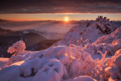 tridsiateho prvieho . .