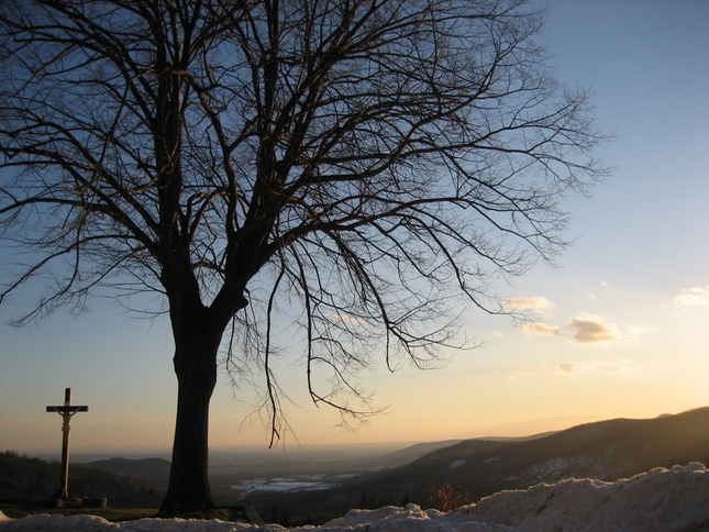 Strom s krížom