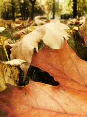 Early autumn