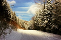 Walk to the light