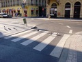 Crosswalk pigeons