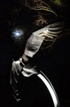 Fallen Angel