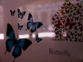 Mesto motýlov