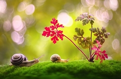 putovanie krajinou III