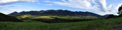 panoramix