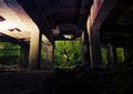 Abandoned#2