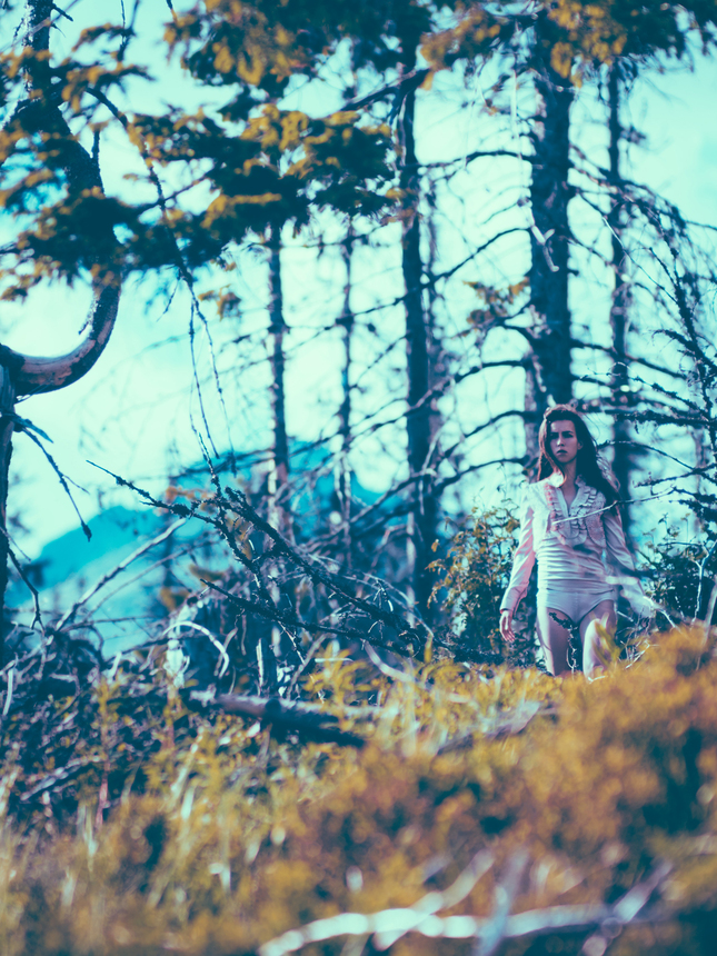 Wilderness
