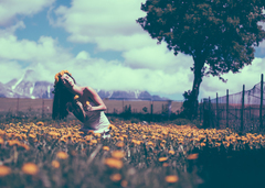 In the dandelions