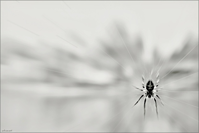 Číhajúci nad jazerom