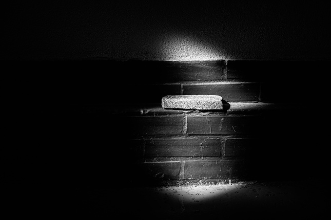 The brick